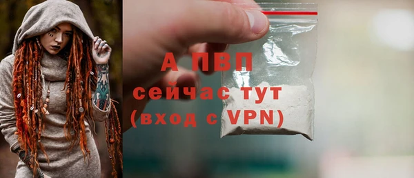 хмурый Дмитров