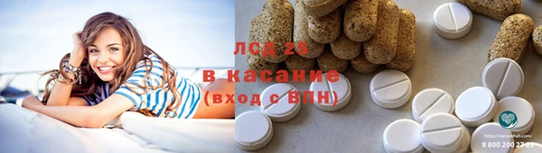 мдпв Дмитриев