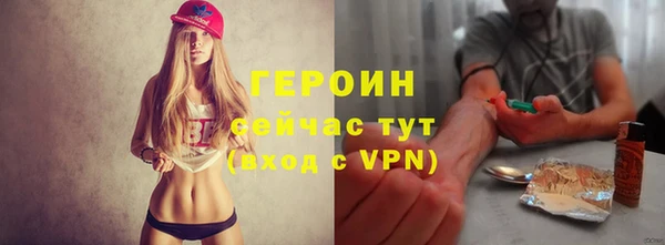 мдпв Дмитриев