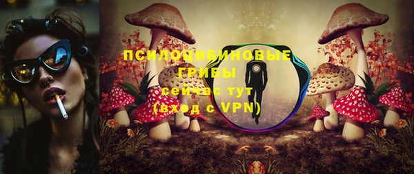 мдпв Дмитриев