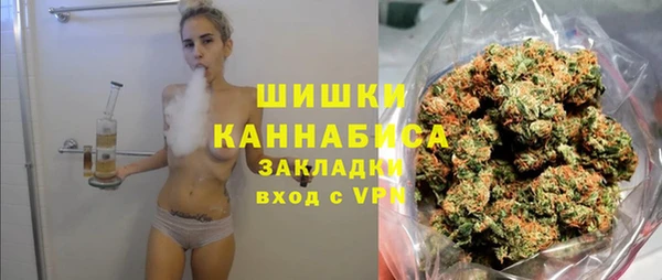 хмурый Дмитров