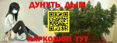 соль курить ск Владимир