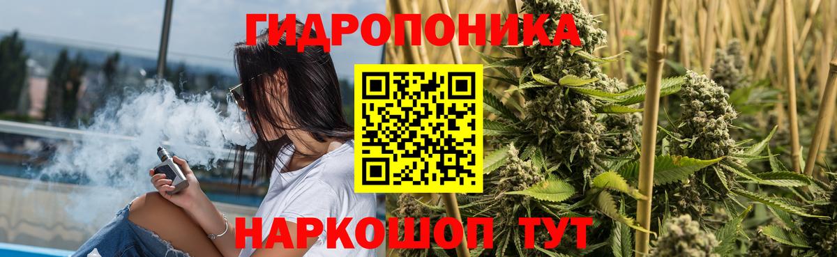 Каннабис план Канск
